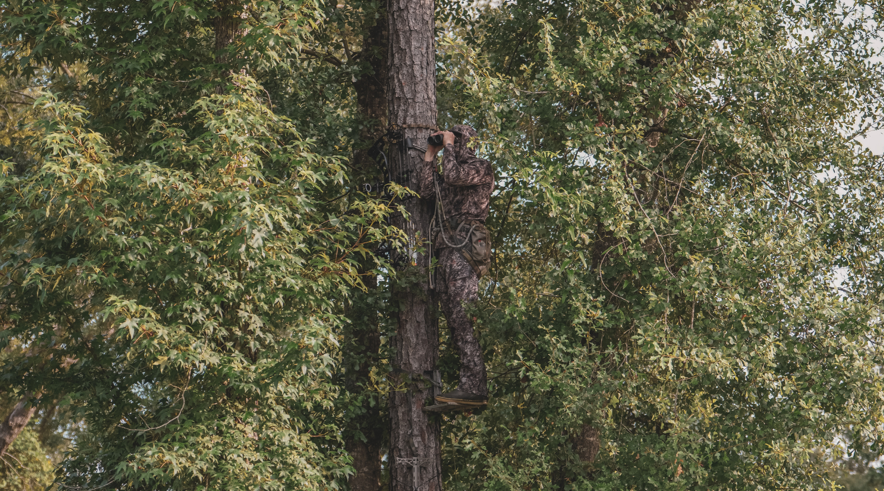 Best Treestand Bowhunting Camo for 2026: RAPTOR vs RAPX