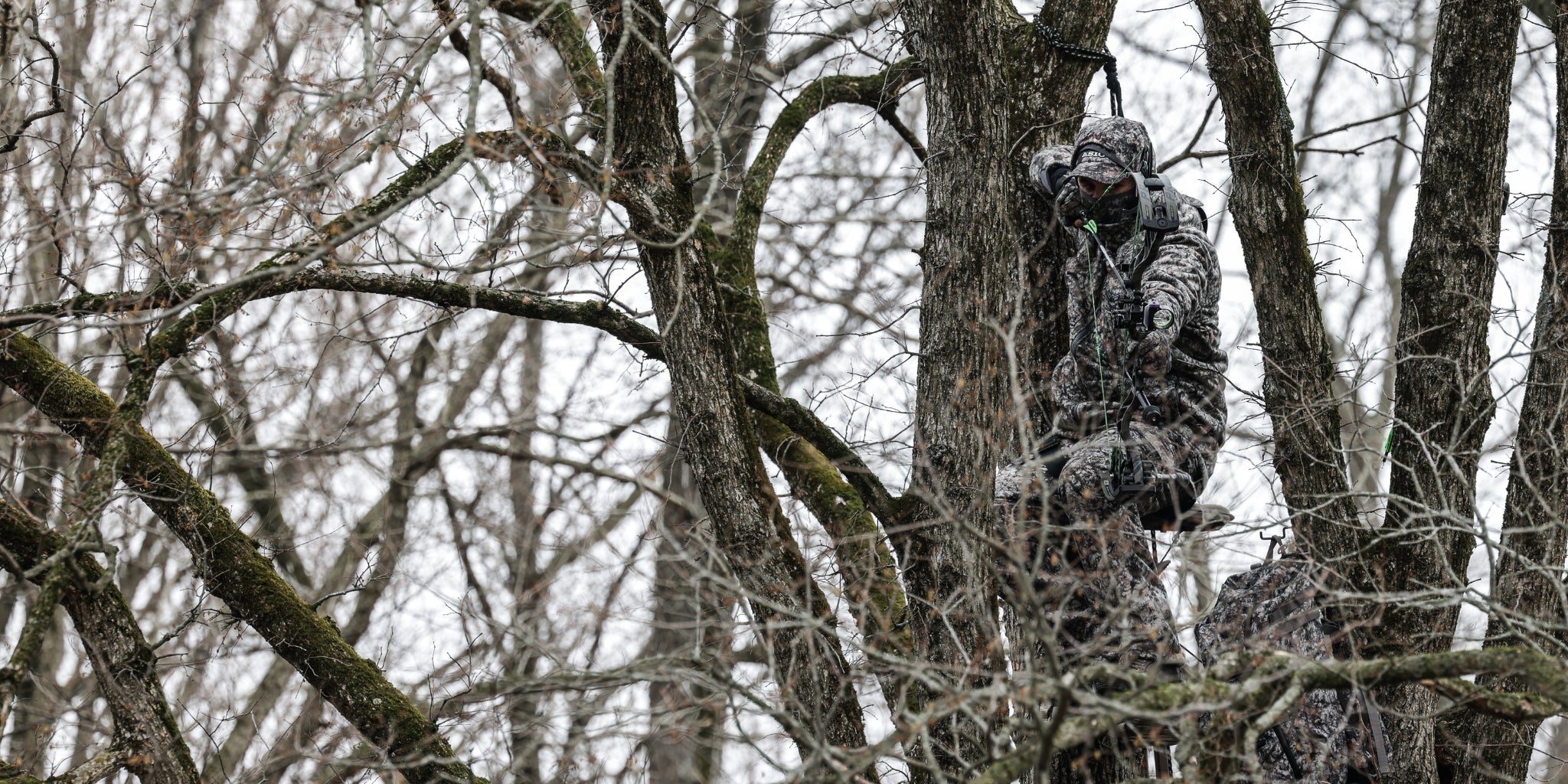 asio bow hunter in late season bowhunting whitetails from a tree
